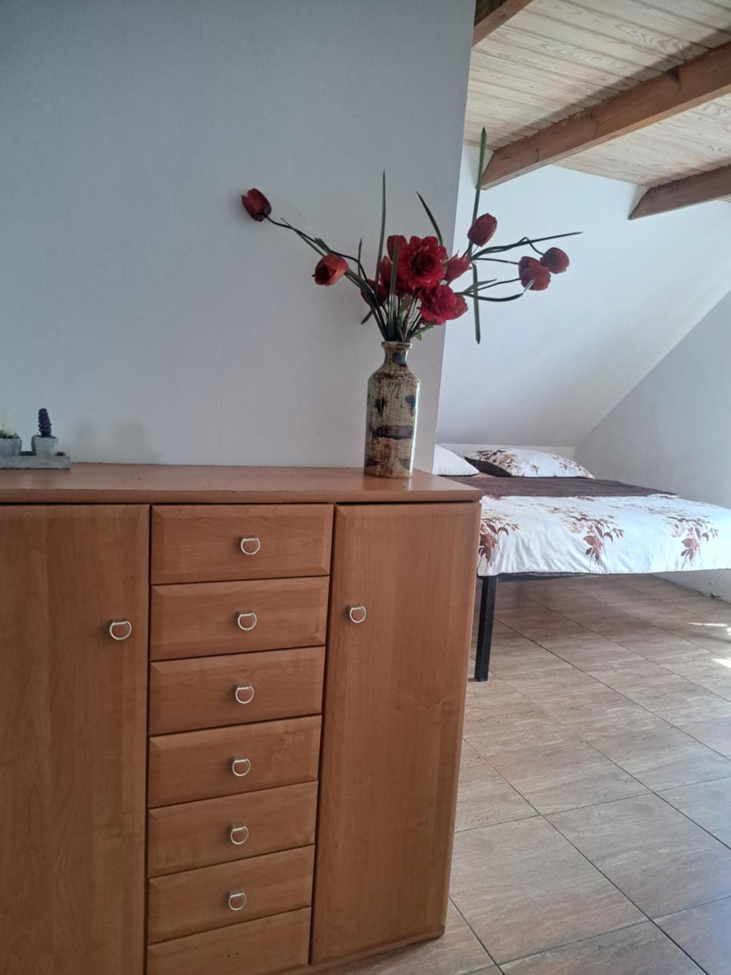 Bizon Guest House Sadowne Ngoại thất bức ảnh