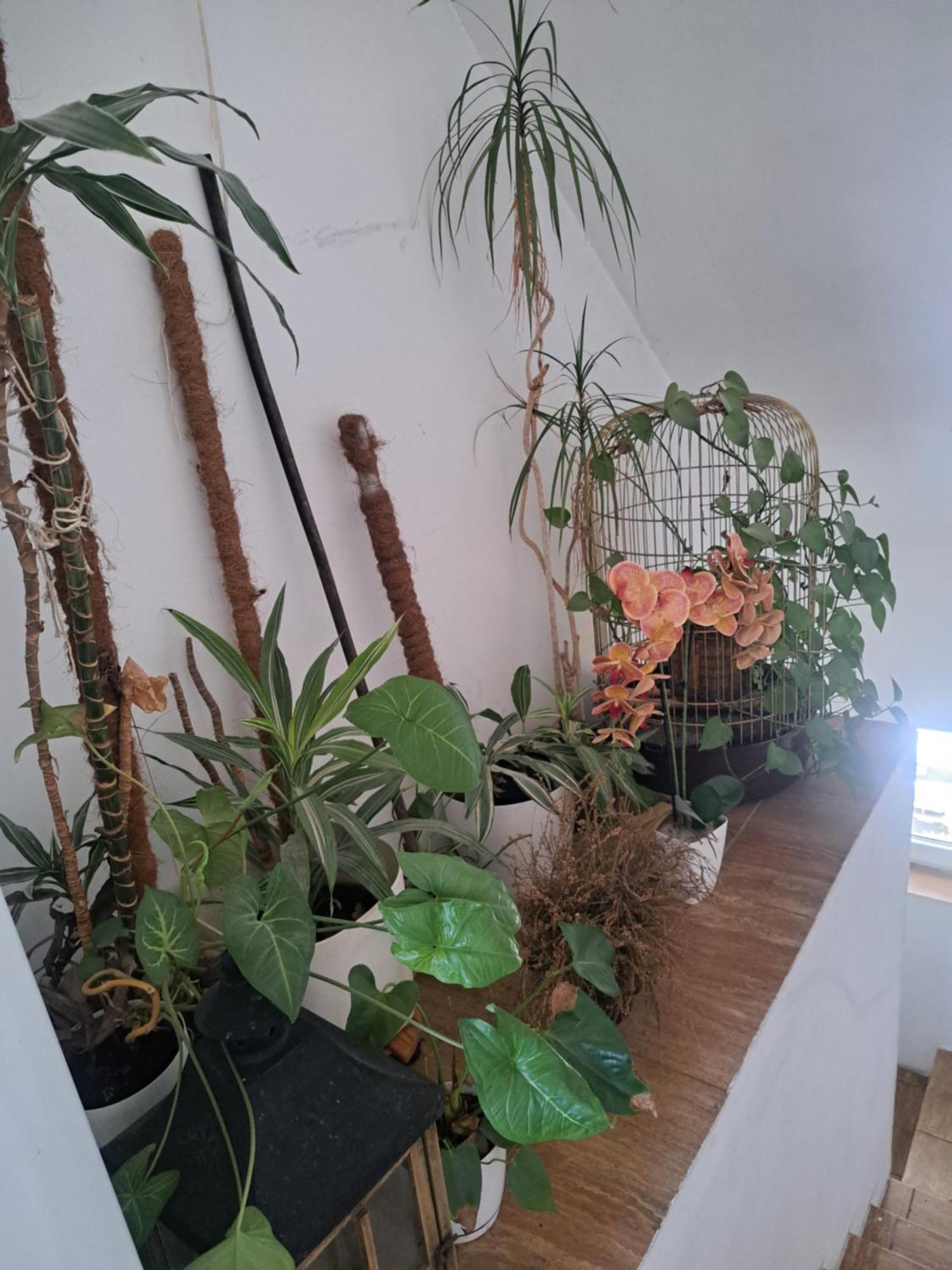 Bizon Guest House Sadowne Ngoại thất bức ảnh