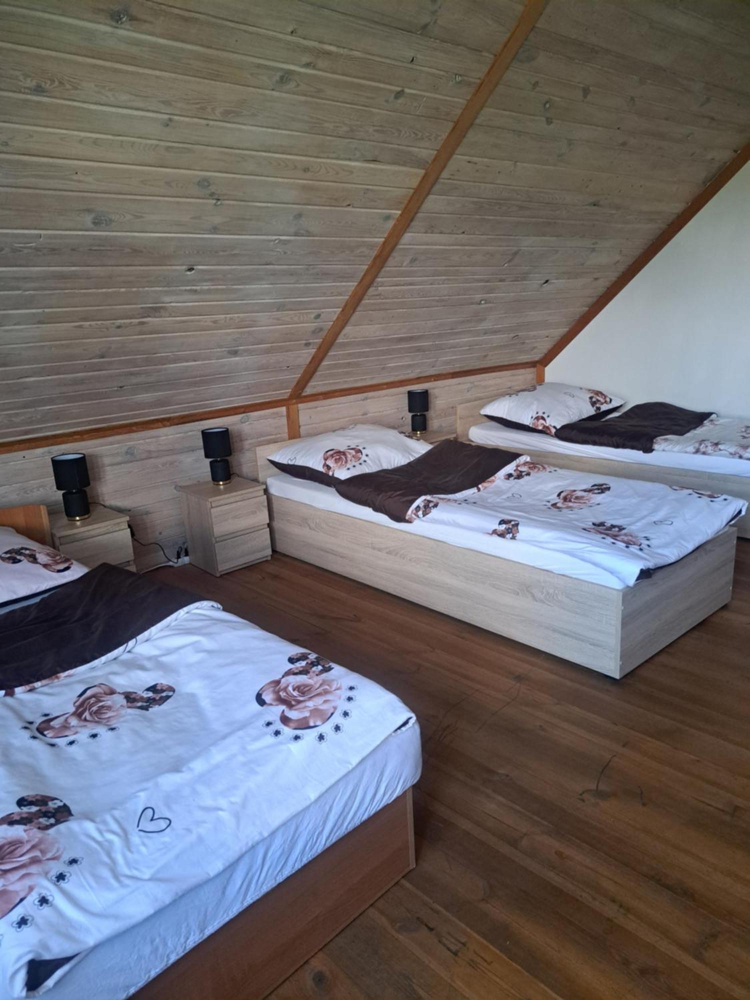 Bizon Guest House Sadowne Ngoại thất bức ảnh